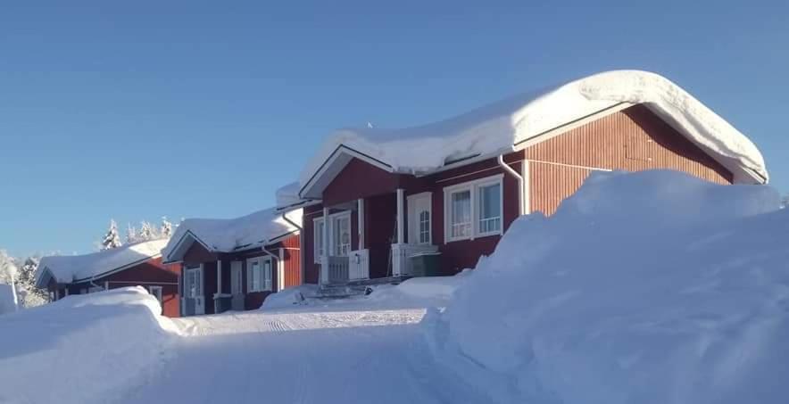 Lomamaja Pekonen Apartments Muonio Eksteriør billede